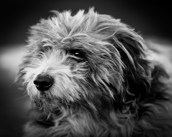 Jake-B&W-1