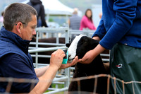 Stirling Show 2018